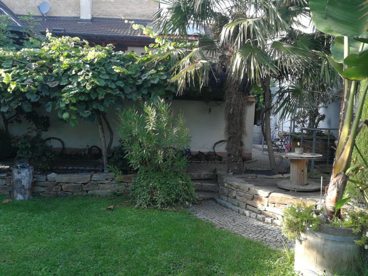Haus Bienen Bed & Breakfast Ihringen Exterior photo