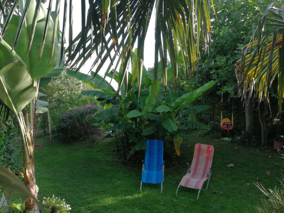 Haus Bienen Bed & Breakfast Ihringen Exterior photo